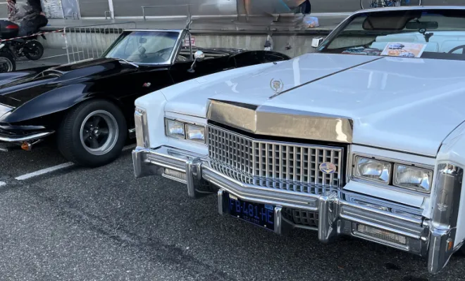 Dans un environnement Vintage